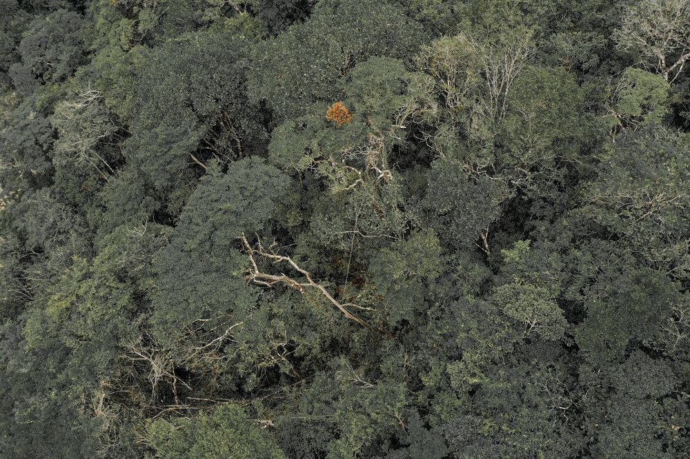 Photograph by Demetrio Jereissati