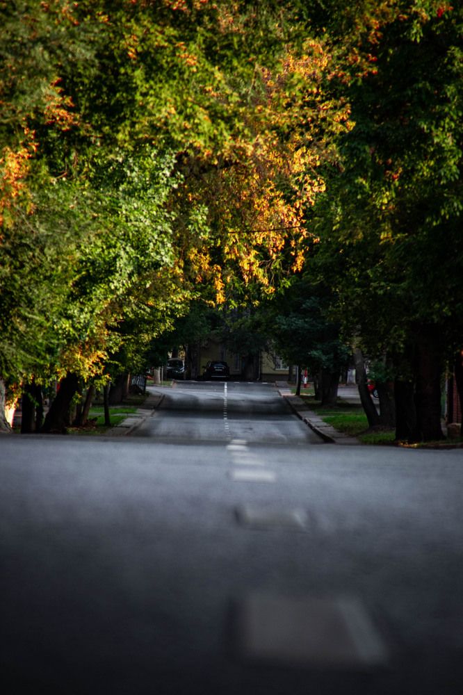 Photograph by Дамир Давронов