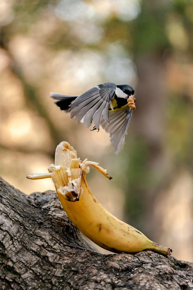 Photograph by Валерий Лейко