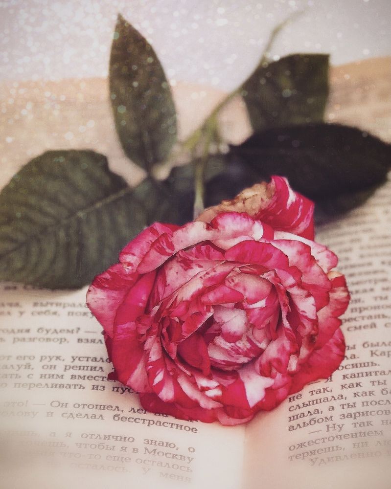 Photograph by 