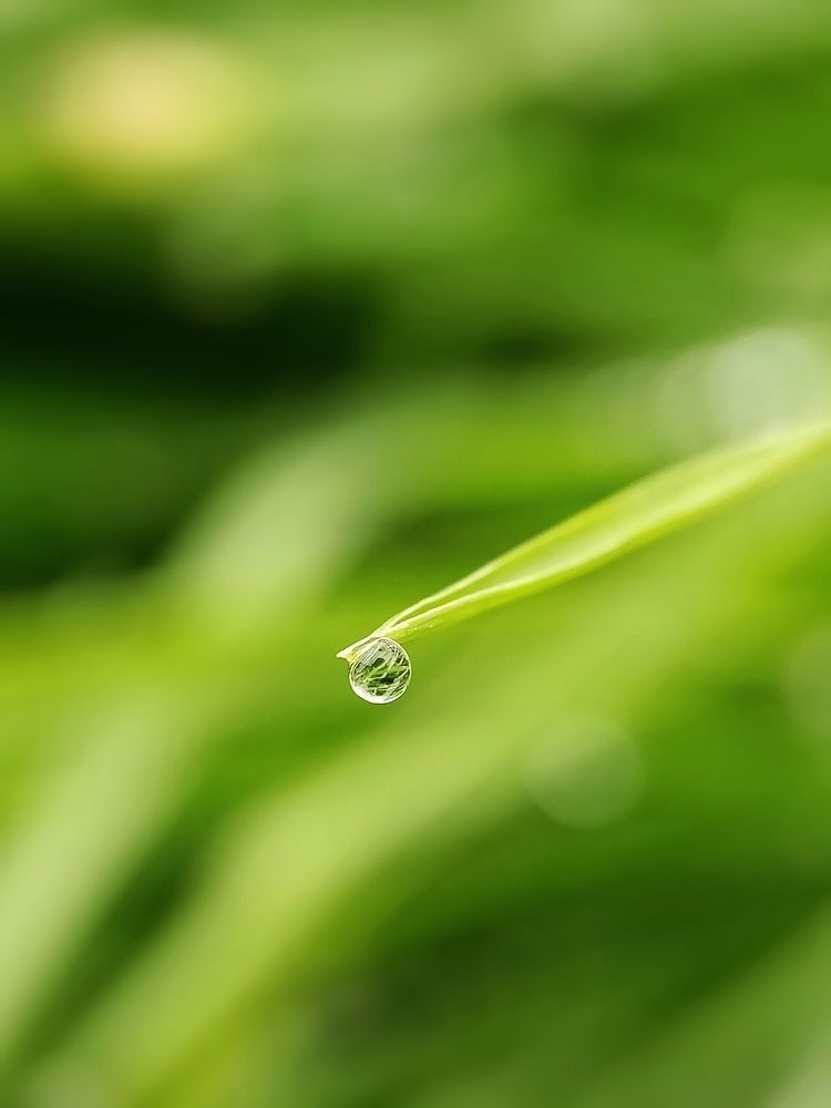 Photograph by Роман Красношапка