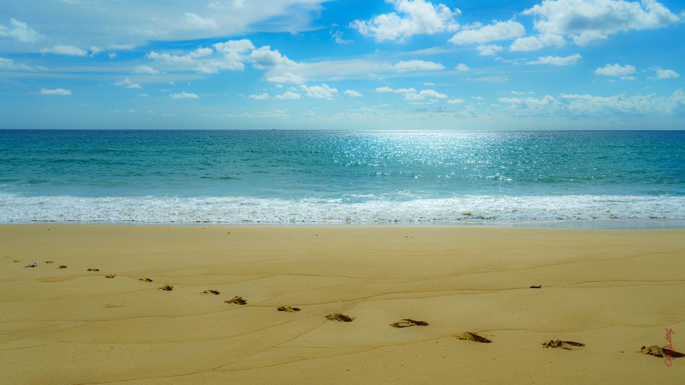 Photograph by Oleg Yu