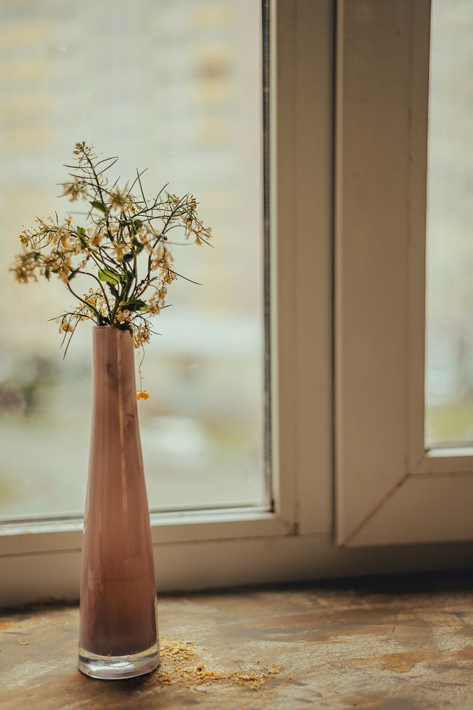 Photograph by Алена