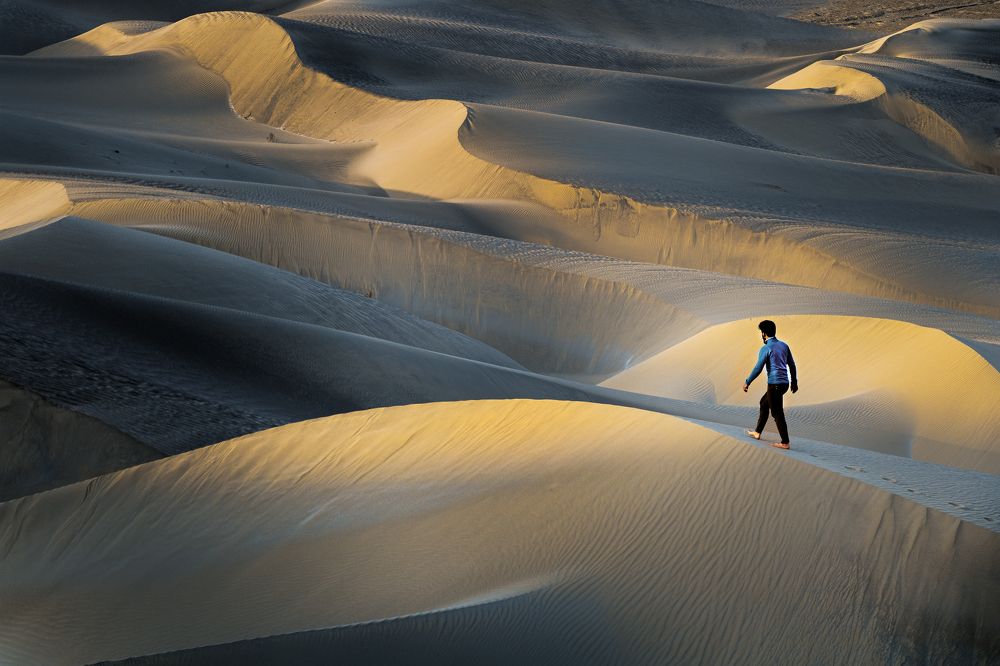 Photograph by mohammad reza zare