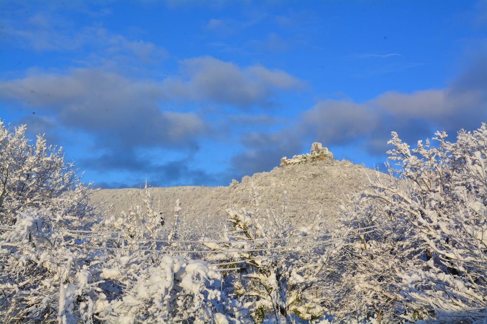 Photograph by Shota Gogoli