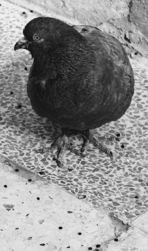 Photograph by Sakhria Mbarki