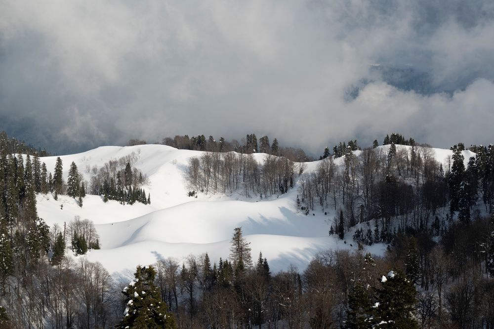 Японский пейзаж