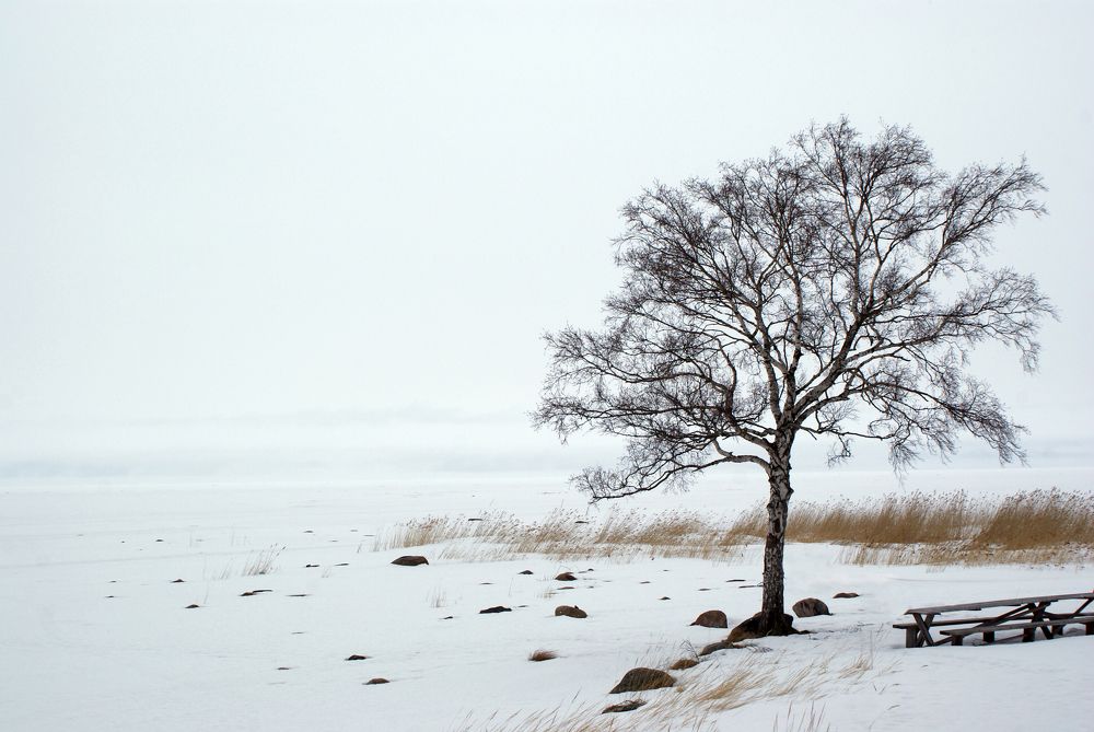 Photo #7403159
