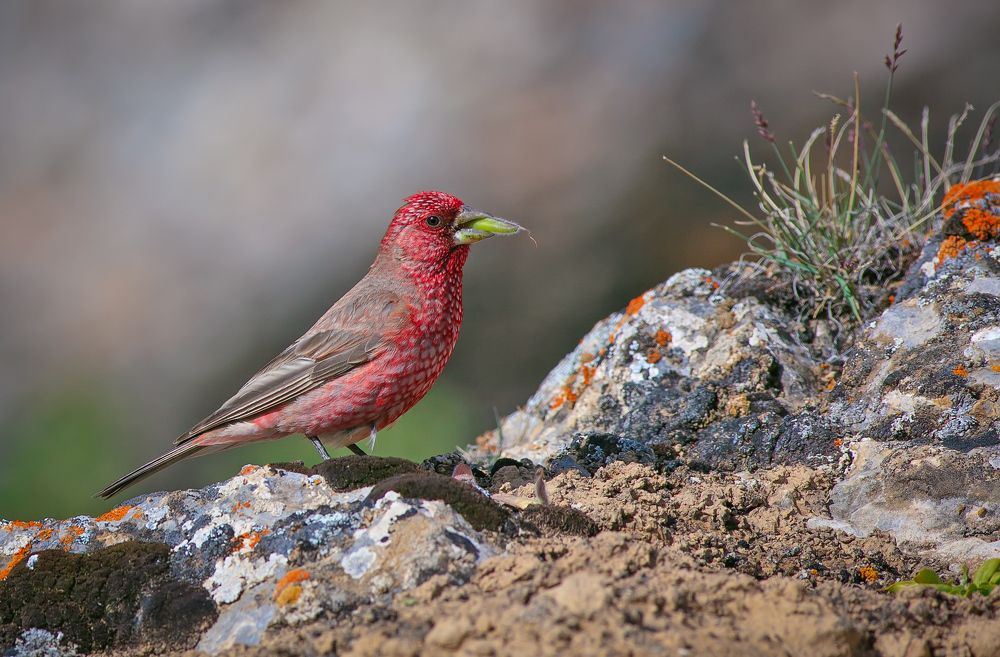 Фотография автора Татьяна Меньшикова