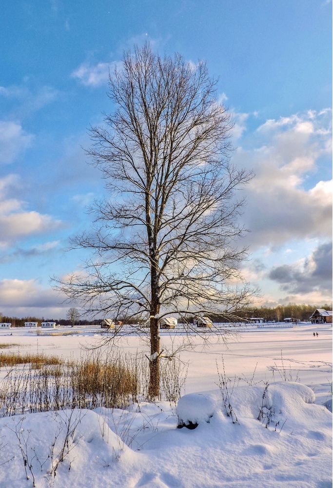 Photograph by Светлана Богомолова