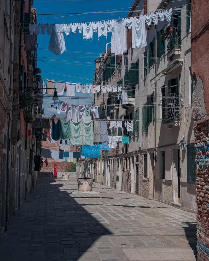 Photograph by Polina Bogomolova