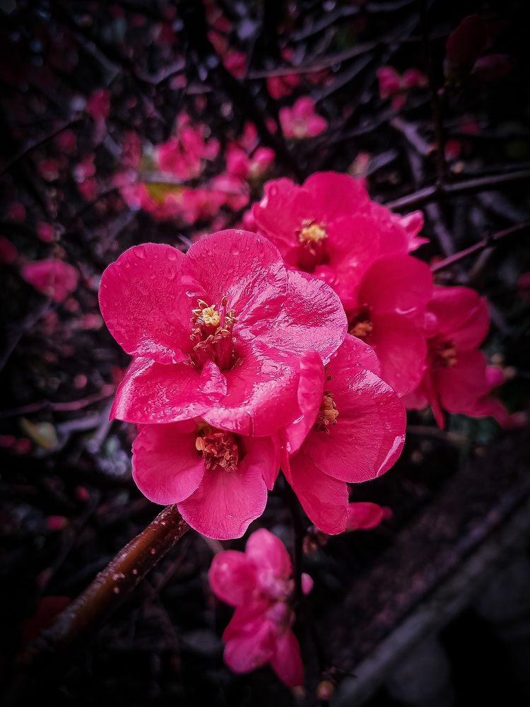 Photograph by Александр Деркач