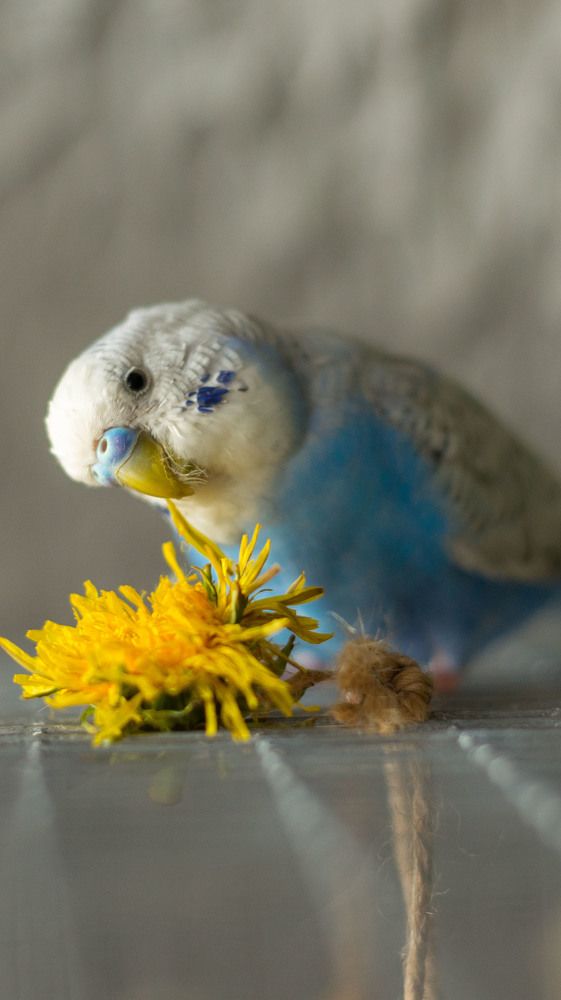 Photograph by Олеся