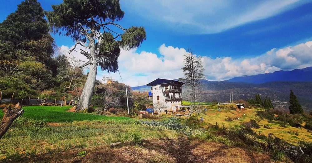 Photograph by Dawa Gyeltshen