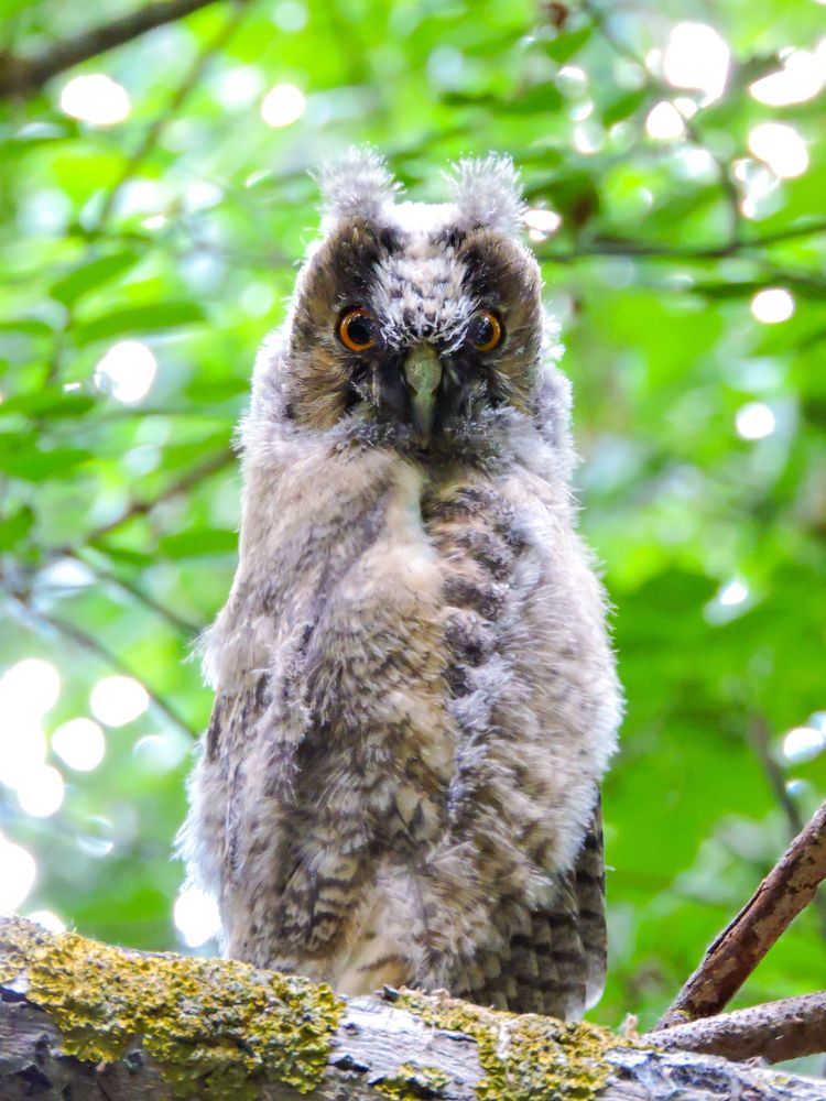 Photograph by Игорь Степанов