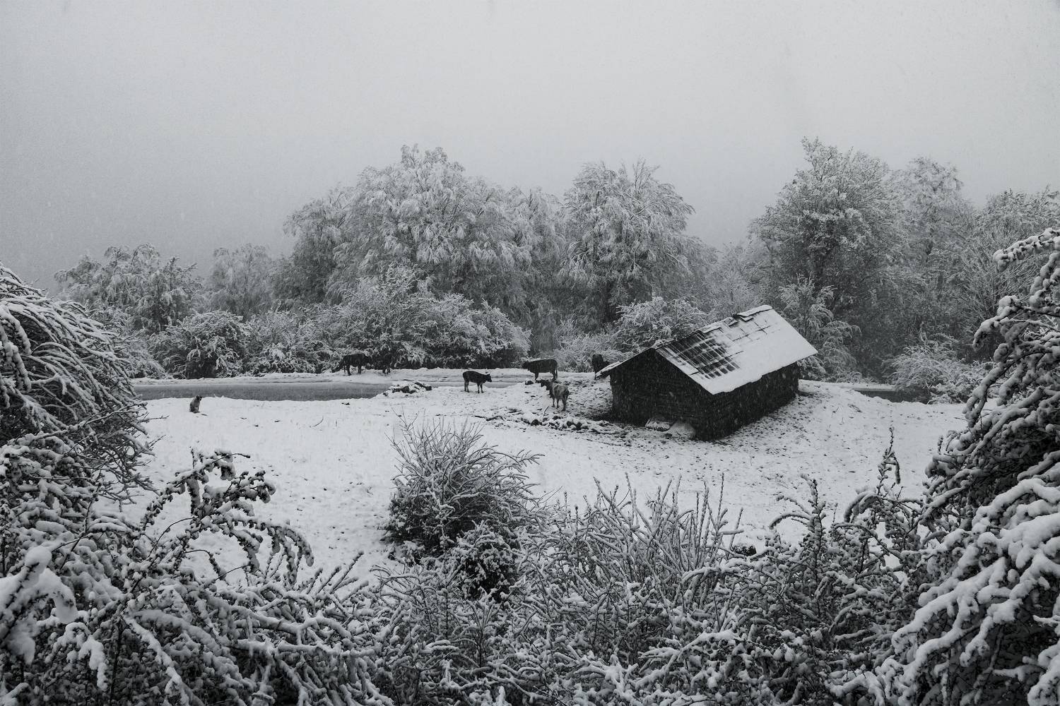 Фотография #7403388