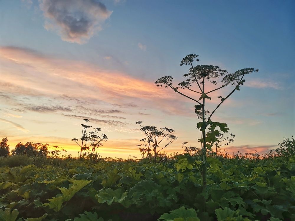 Photograph by Евгения Щербинина