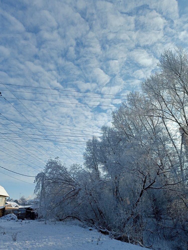 Photo #7403435