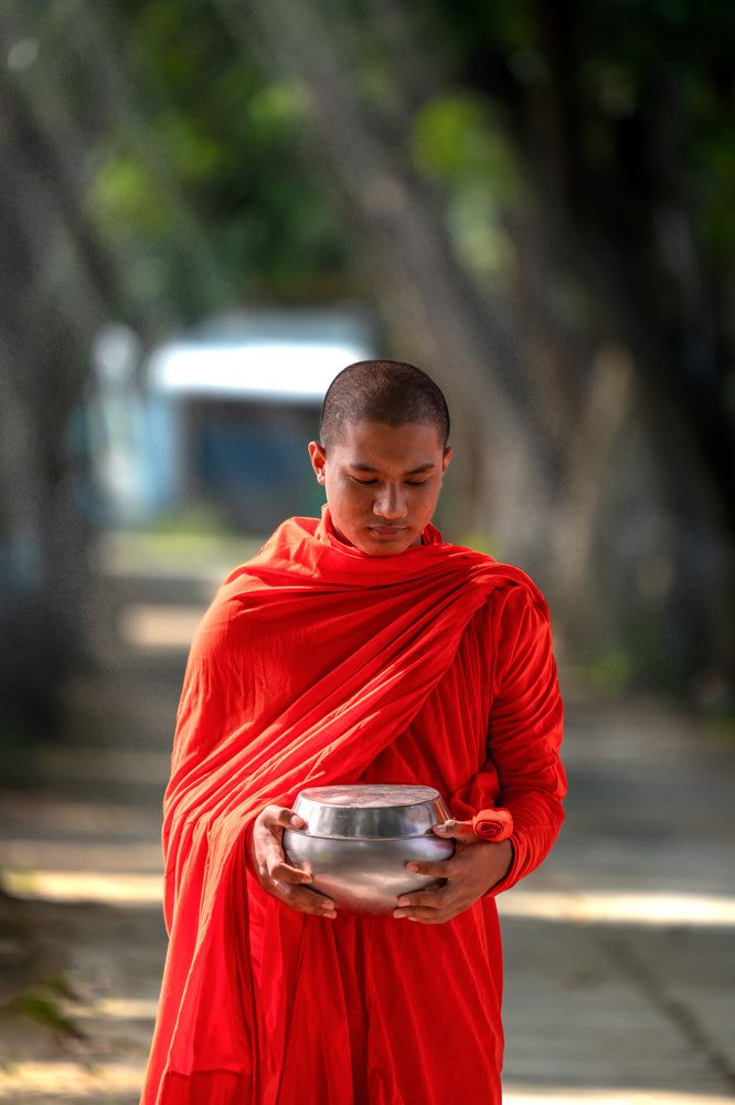 Photograph by Trung Luong