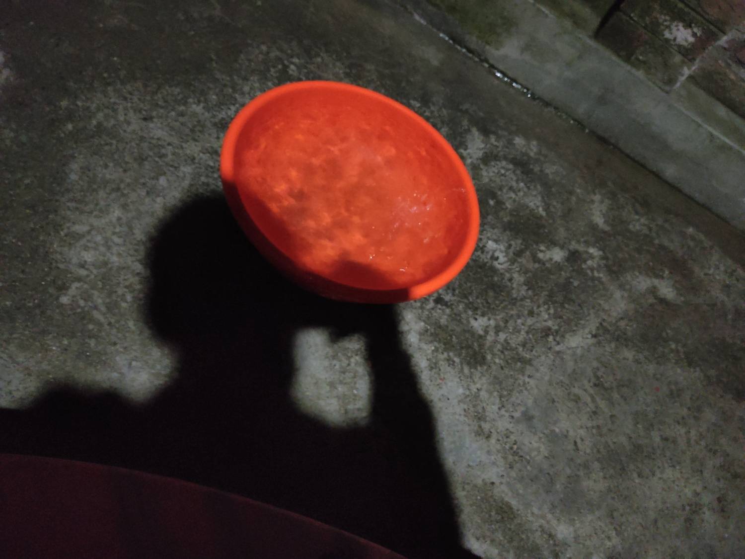 Photo #7403474