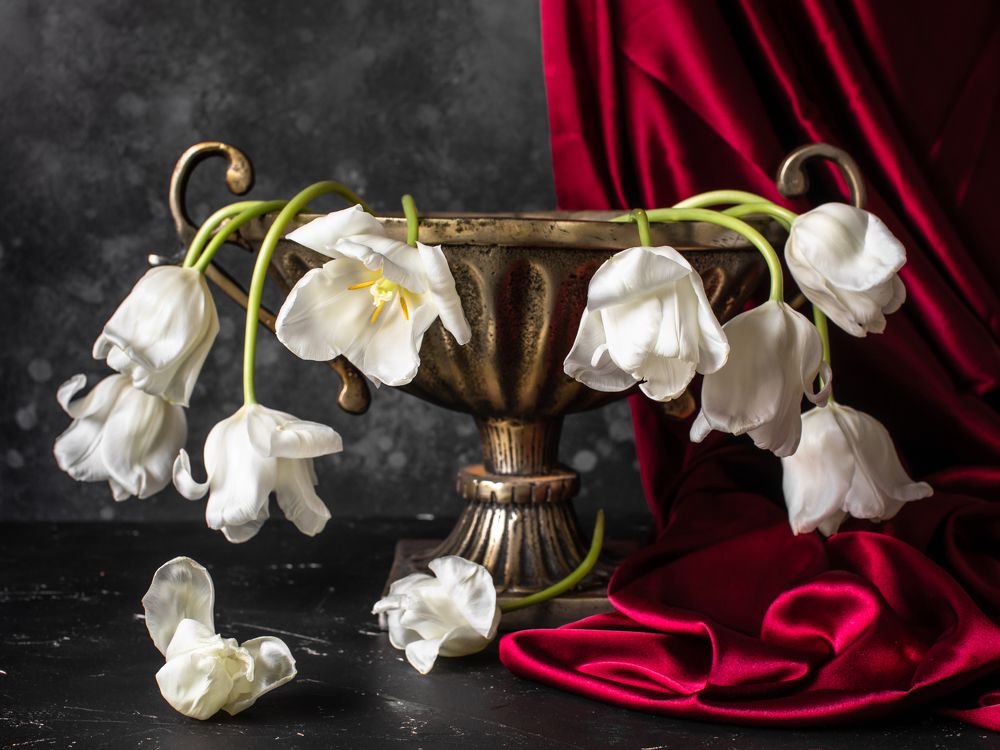 Фотография автора Мария Сурмачева