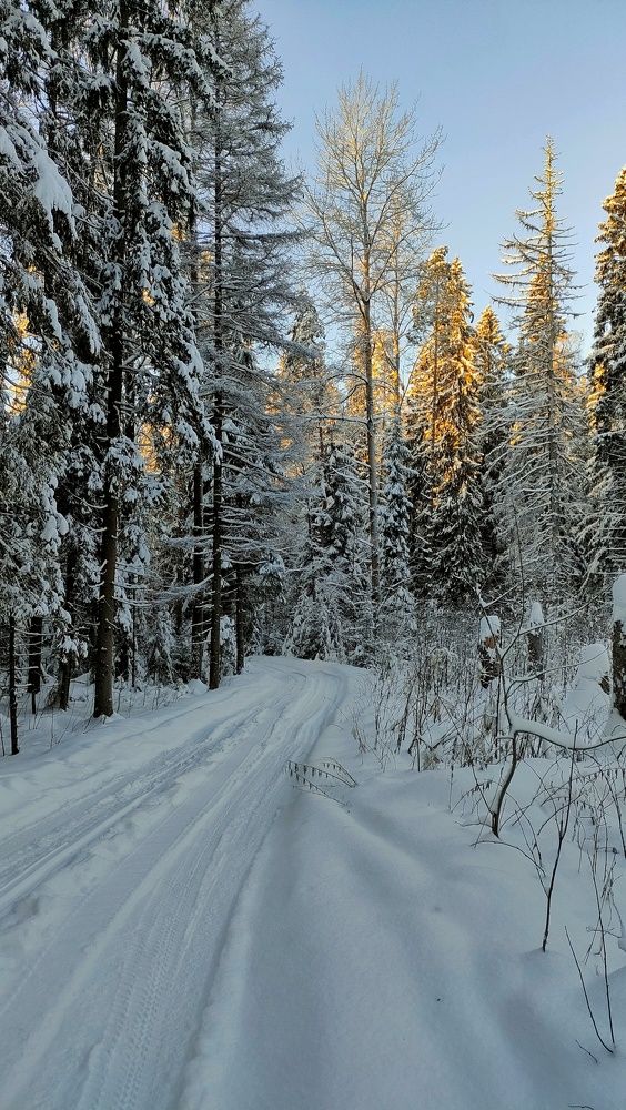 Photograph by Александр