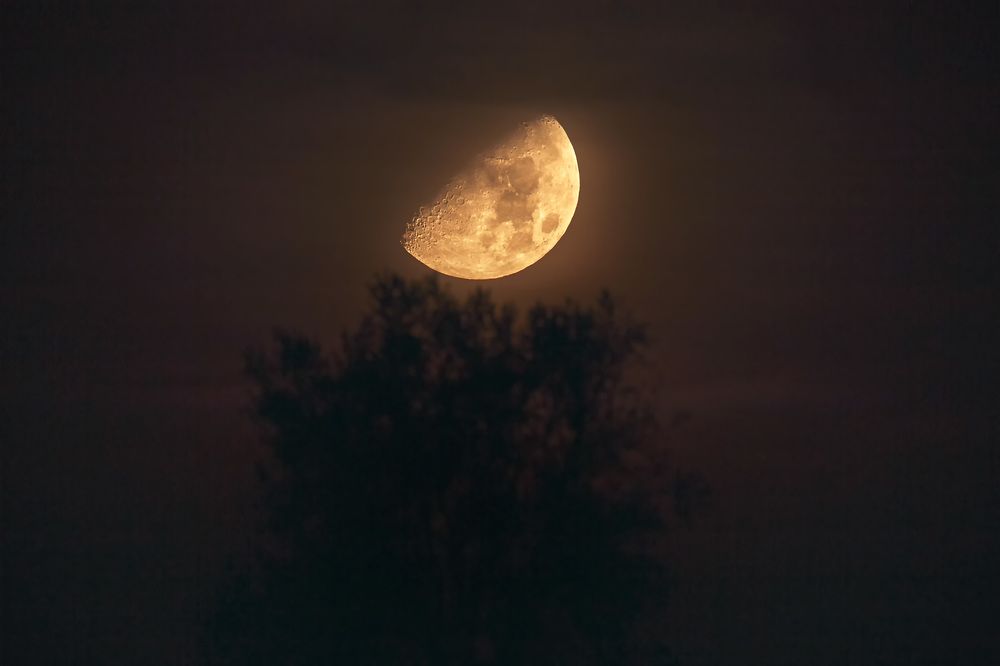 Photograph by Fabio Cartelli