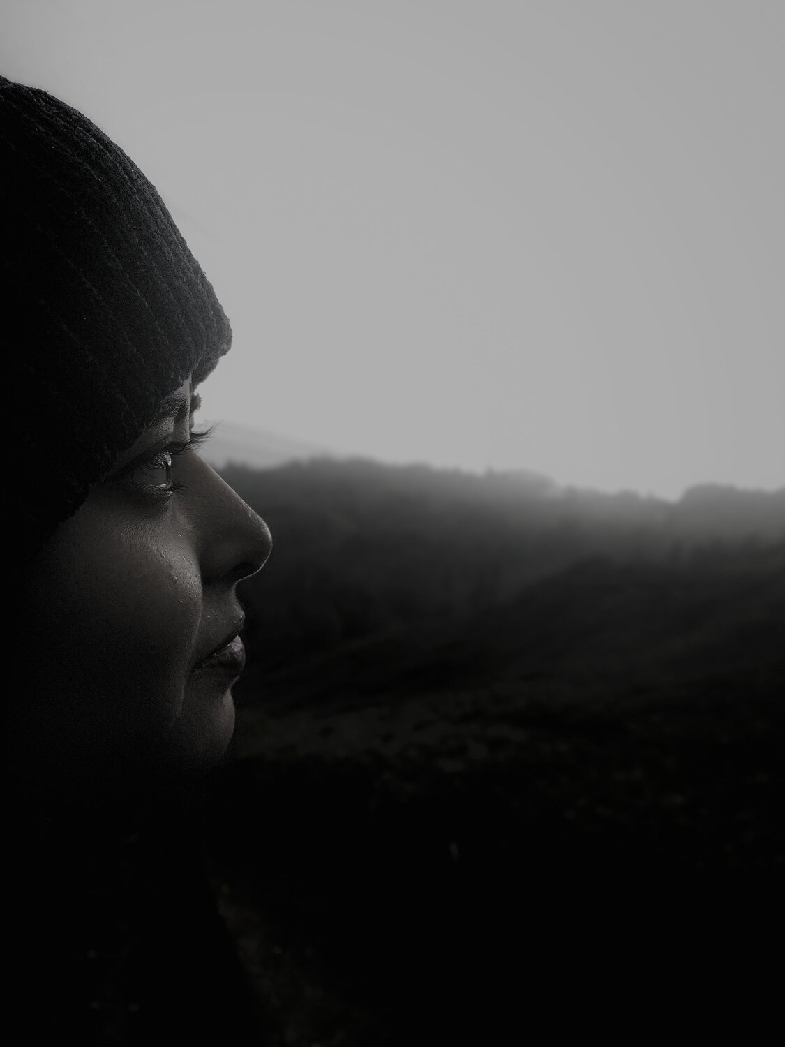 Photo #7403668