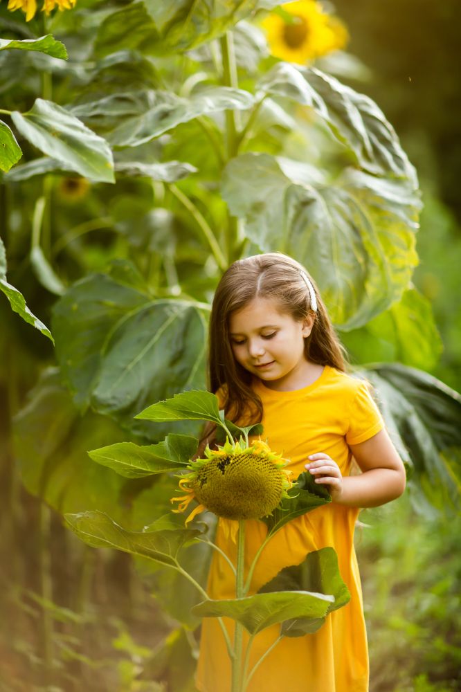 Фотография автора Lana Dee