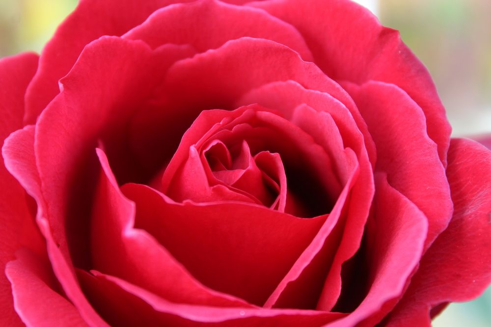 Photograph by Yordanka Vasileva