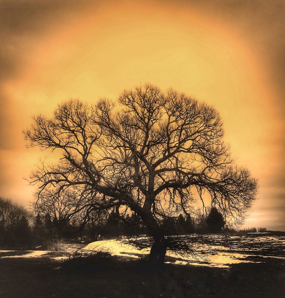 Photograph by Армен Егиян