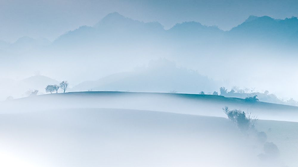 Photograph by Trung Luong