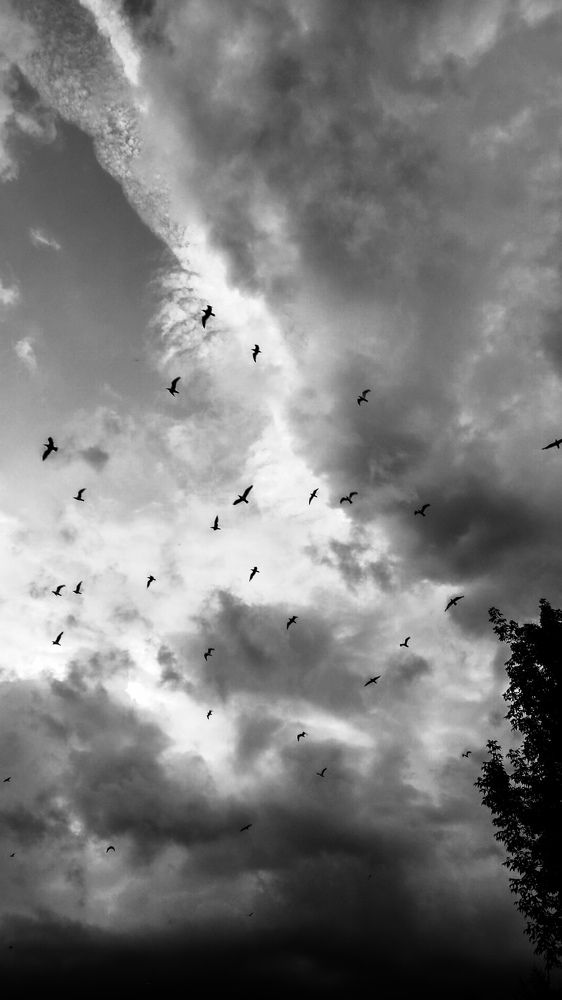 Photograph by Софья Зенина