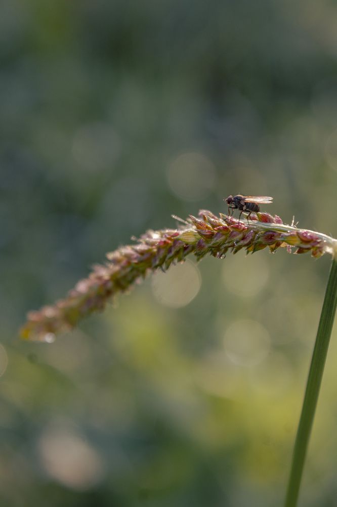 Photograph by Герман Корнеев