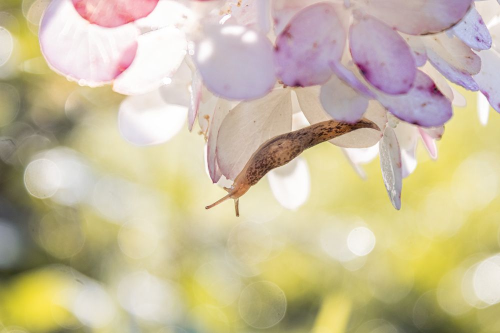 Photograph by Герман Корнеев