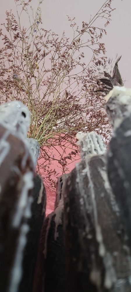 Photograph by Иван Мягкий