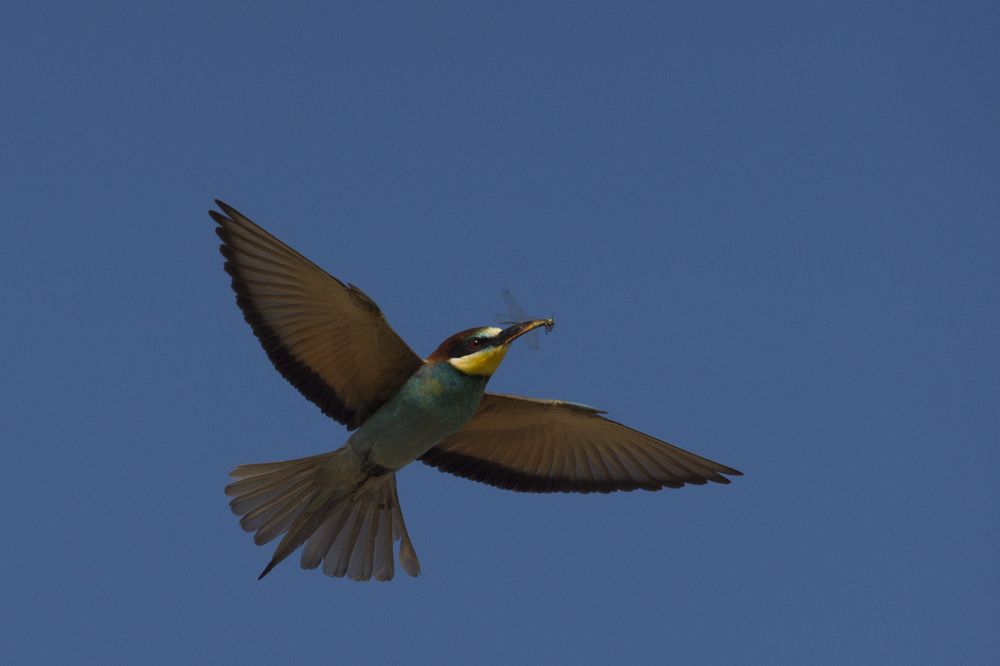 Photograph by Александр