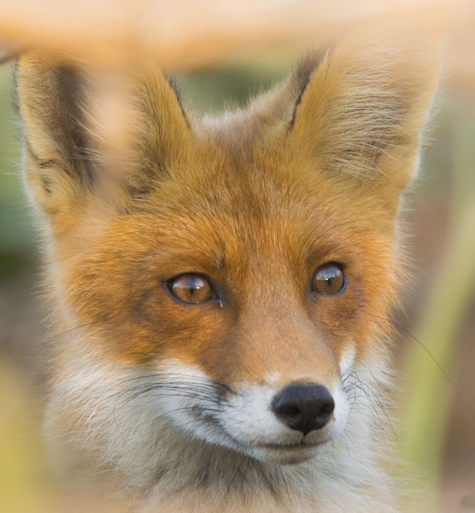 Photograph by Александр