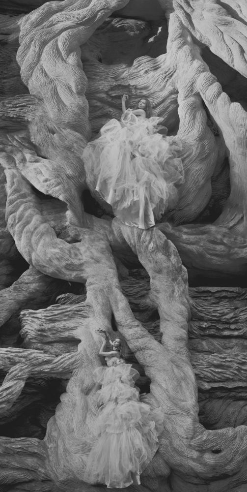 Фотография автора Diana Evseeva