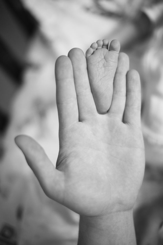 12 дней новой жизни