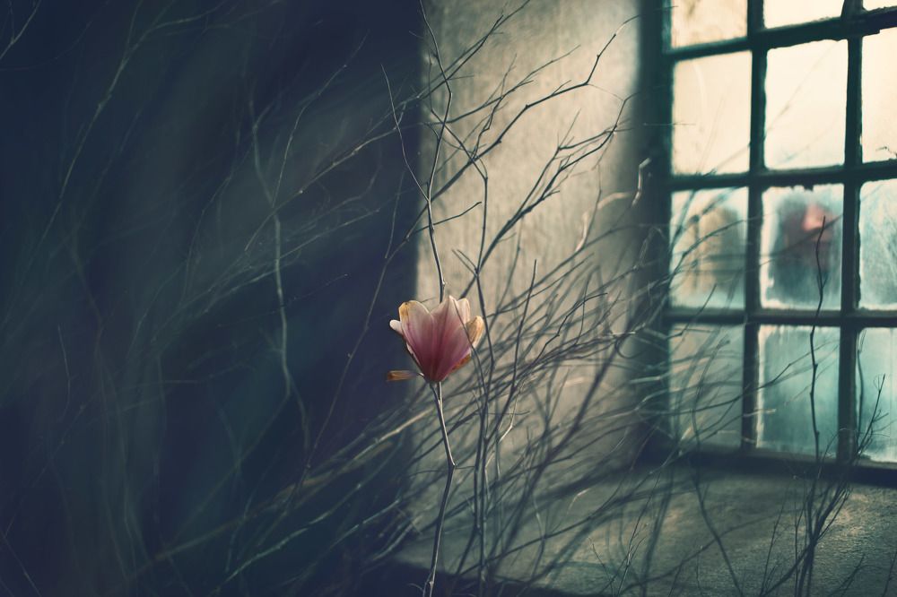 Photograph by Sylwia Glazer