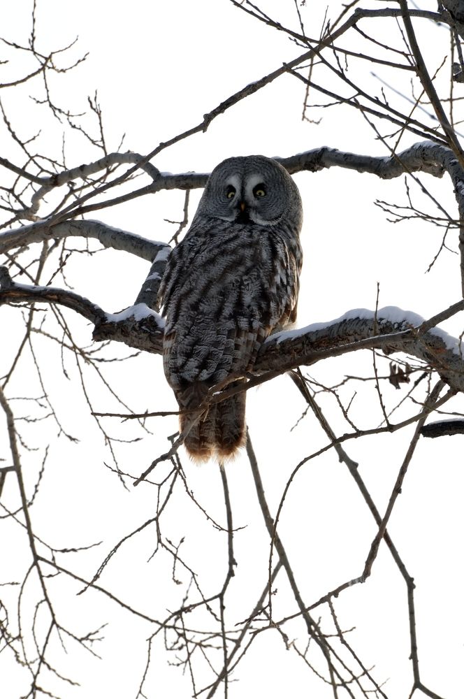 Photograph by Nadezhda