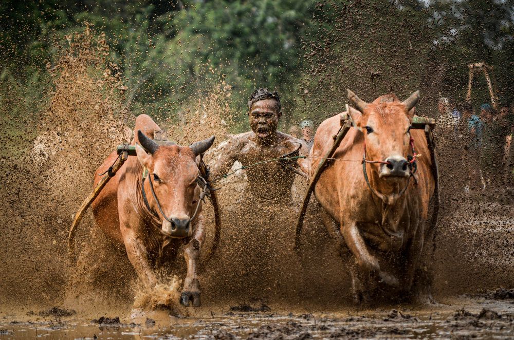 Photograph by Ridwan Ridwan