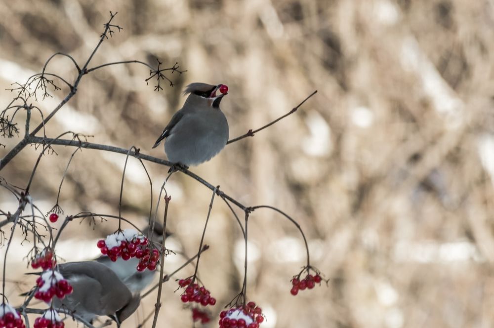 Photograph by Nadezhda