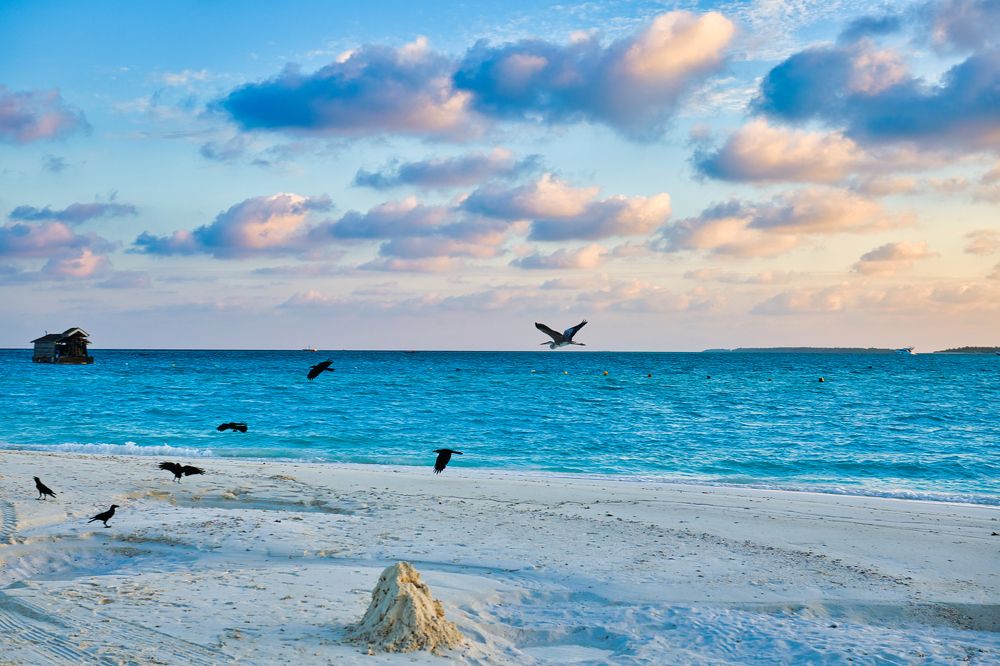 Photograph by Михаил Ноеренчук