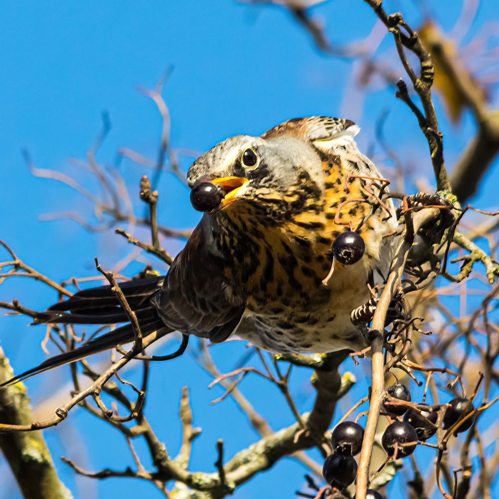 Photograph by Шапошников Виктор
