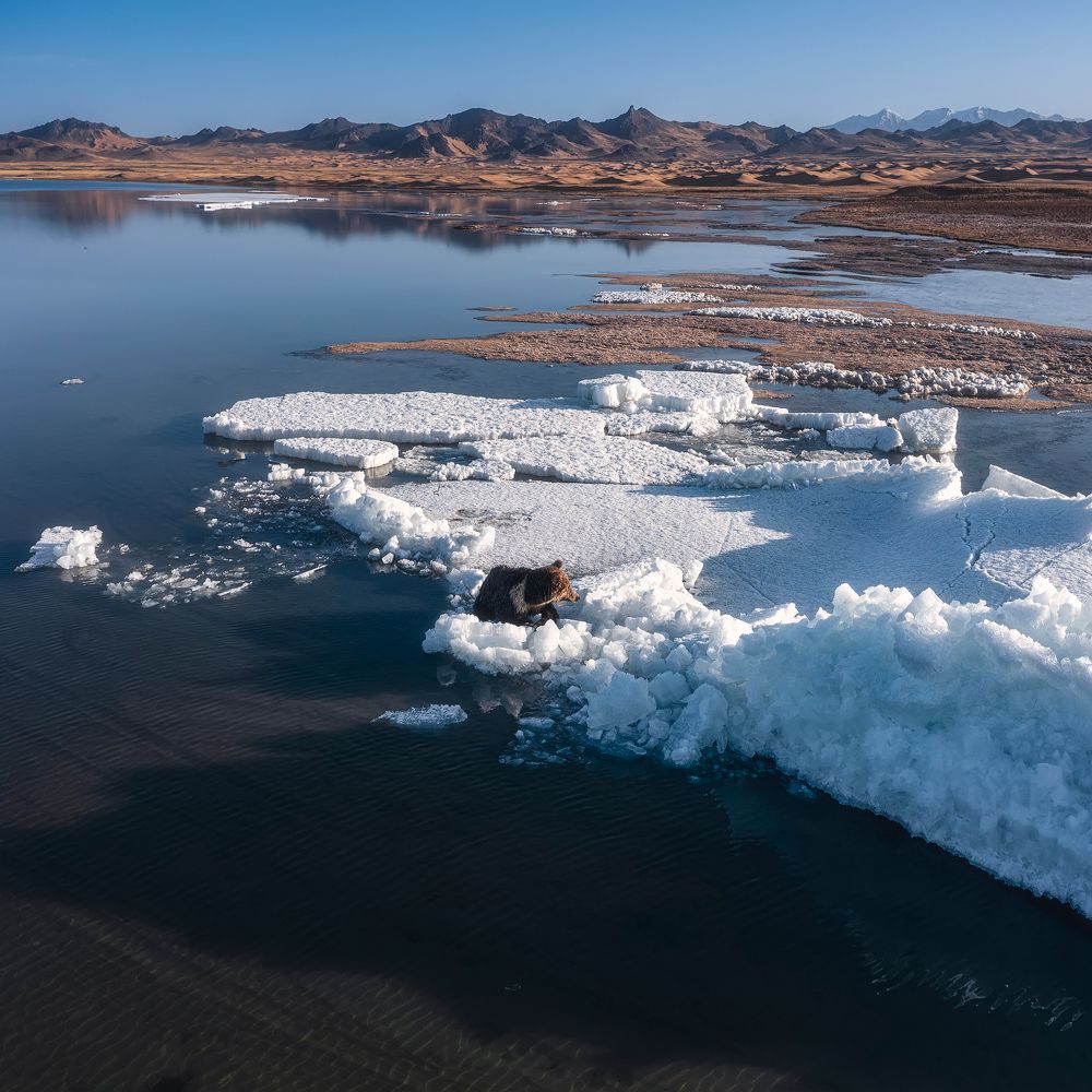 Photograph by JIAN LI