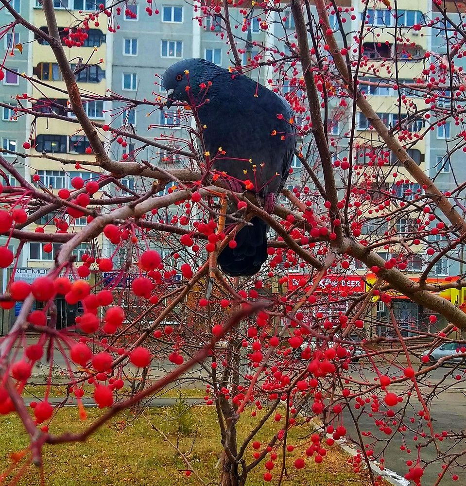 Photograph by Светлана Середина