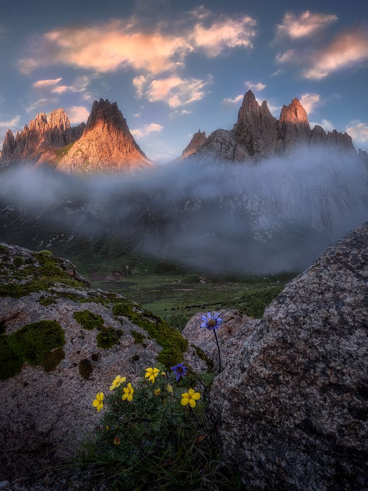 Little flowers under the mountain