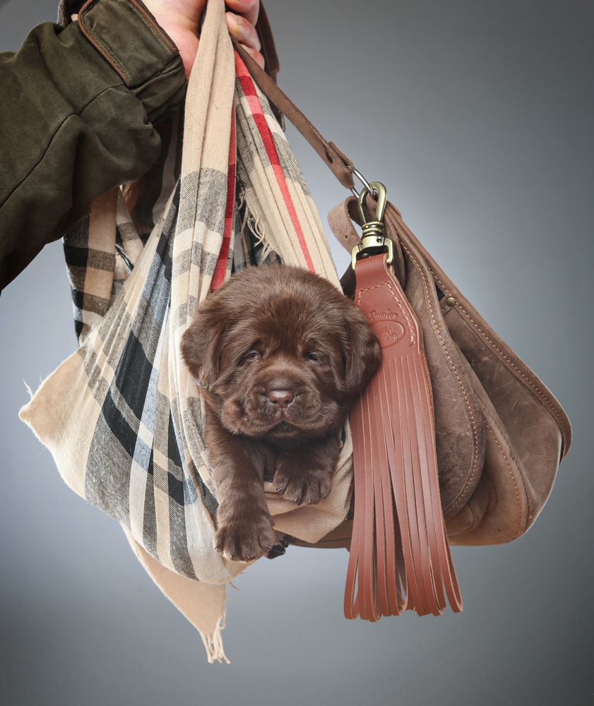 Фотография автора Katerina Mumzhinskaya